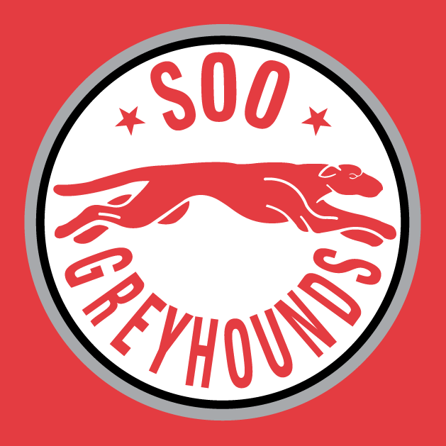 Sault Ste. Marie Greyhounds 1998 99-2008 09 Alternate Logo vinyl decal